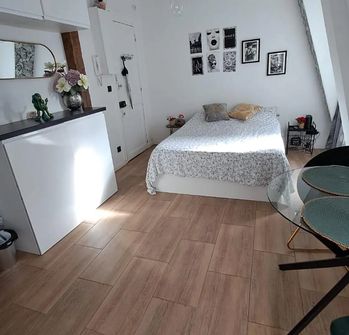 Center Paris Eiffel Tower View Apartment