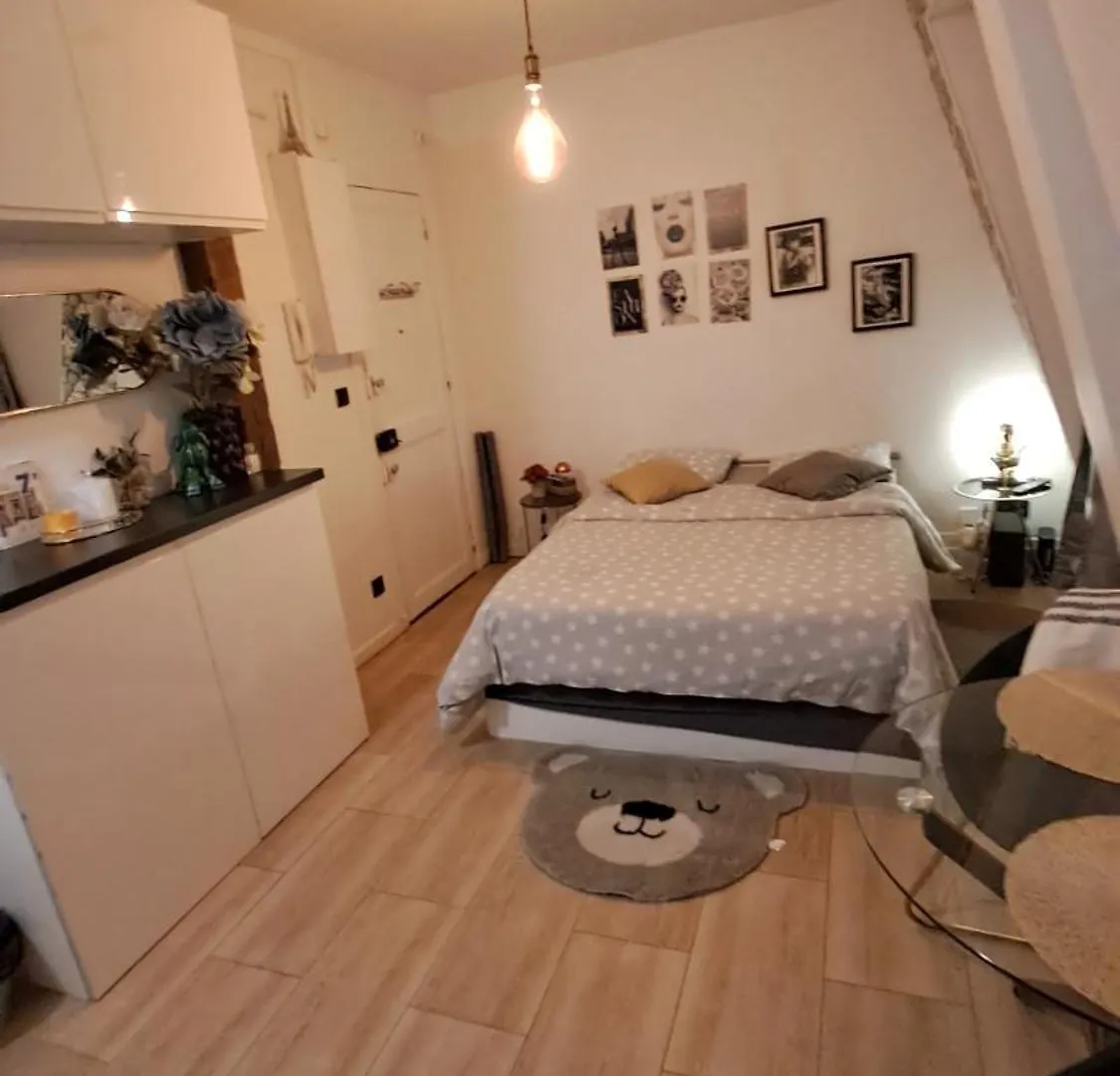 Center Paris Eiffel Tower View Apartment